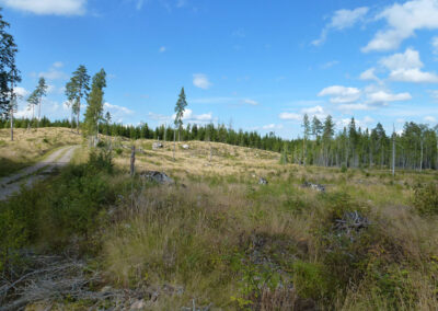 Galmsjömyran vindkraftspark